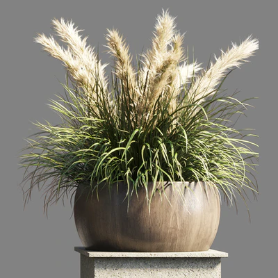 Collection outdoor indoor 70 pot palnt grass the dry pampas stand vase wooden — Ver 3