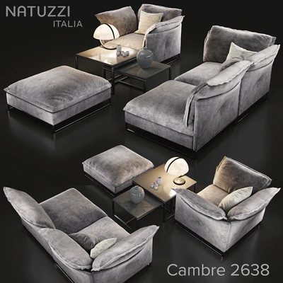 Sofa natuzzi cambre 2638 — Ver 1