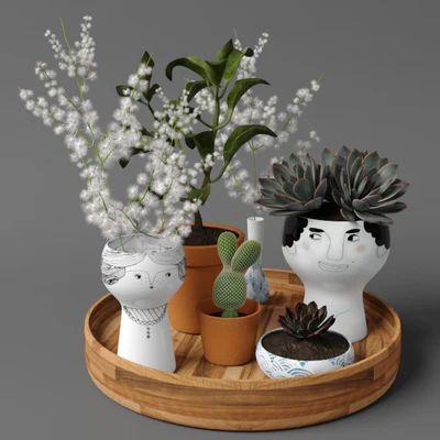 Plants tree 41 — Ver 1