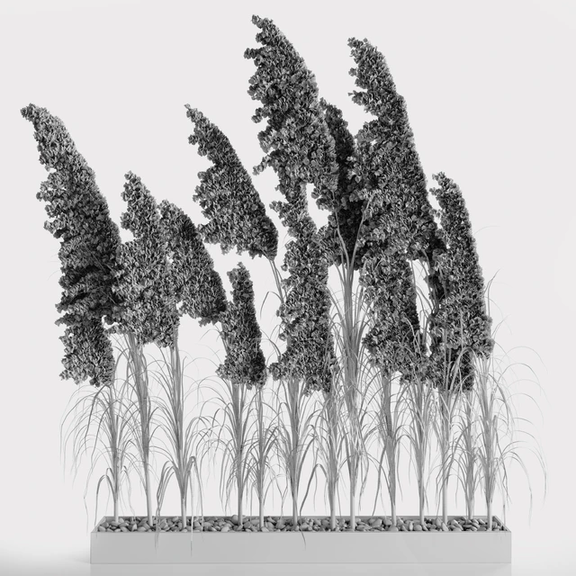 A bunch of Pampas 8 — Скачать