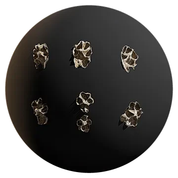 dog footprint 001 — Скачать