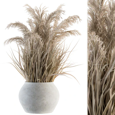 indoor Plant Set 115 - Dried Plant — Ver 1