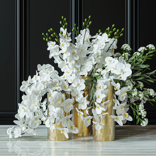 Flower Set 033 Orchids — Descargar