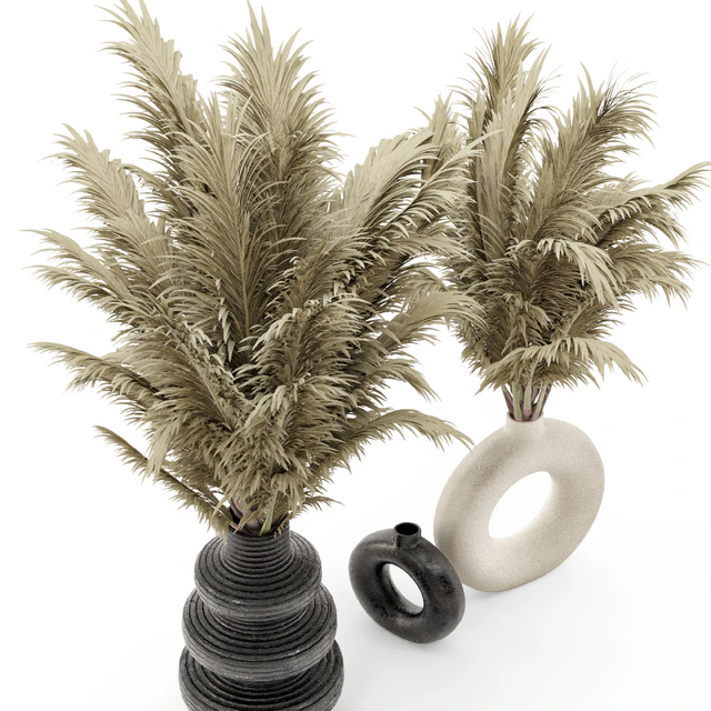 Collection Dry Bouquet Plants Pots - Set 1876 — Descargar
