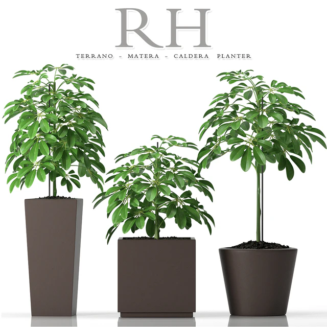 PLANTS 45 — Descargar
