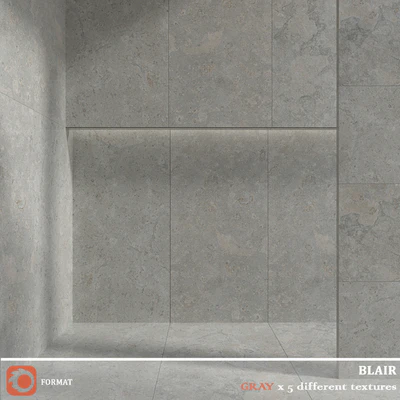 BLAIR graphite silver noce white — Ver 2