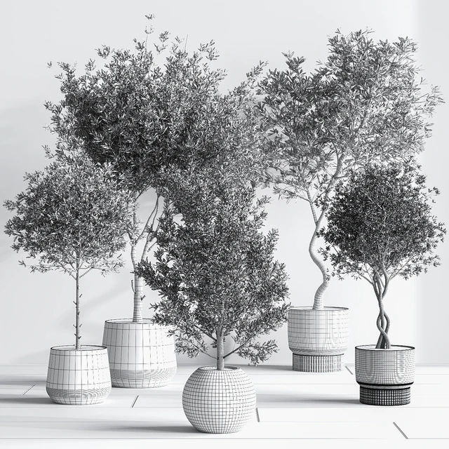 IndoorSetPlant054 — Descargar