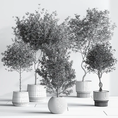 IndoorSetPlant054 — Ver 6