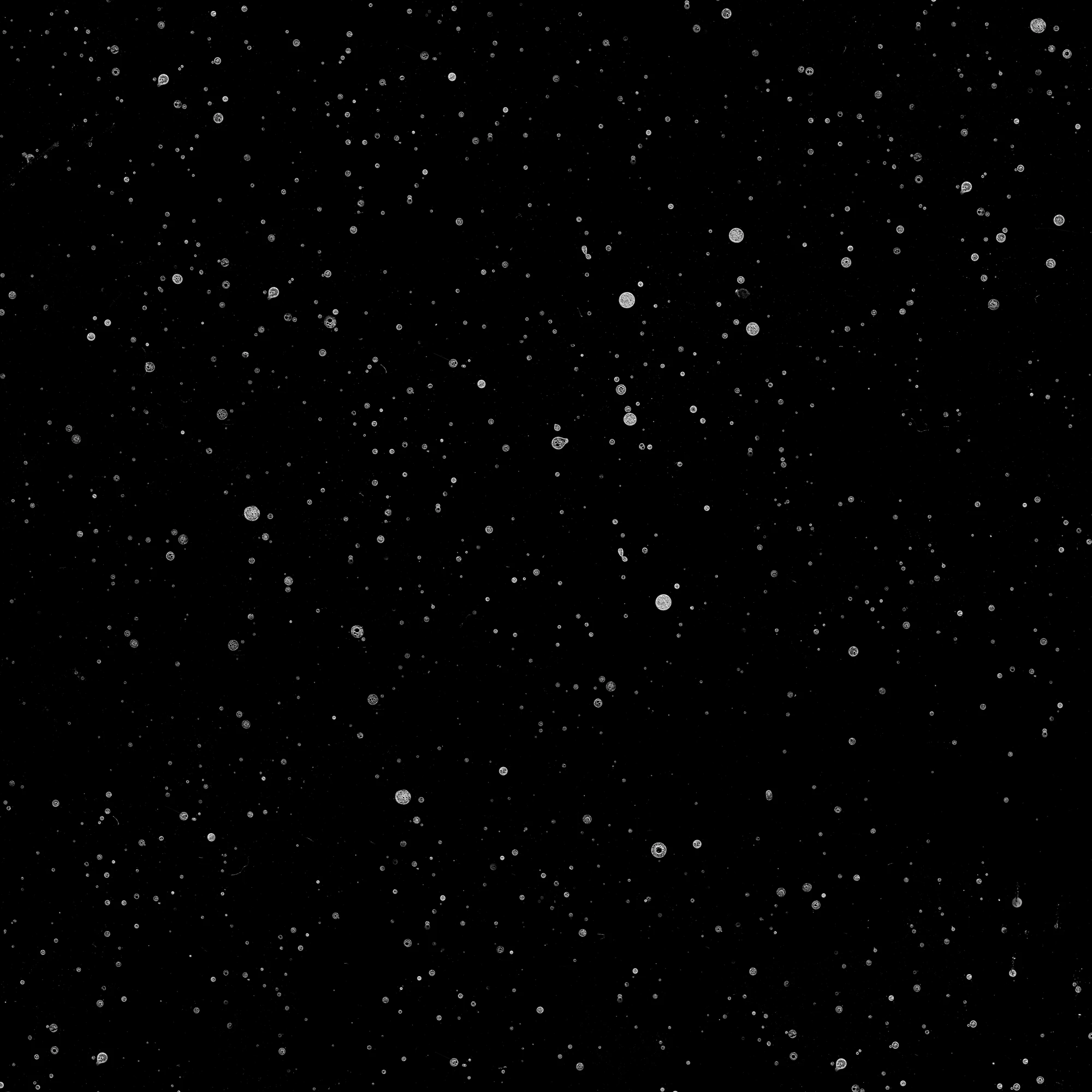 dirt masks 033 — Descargar