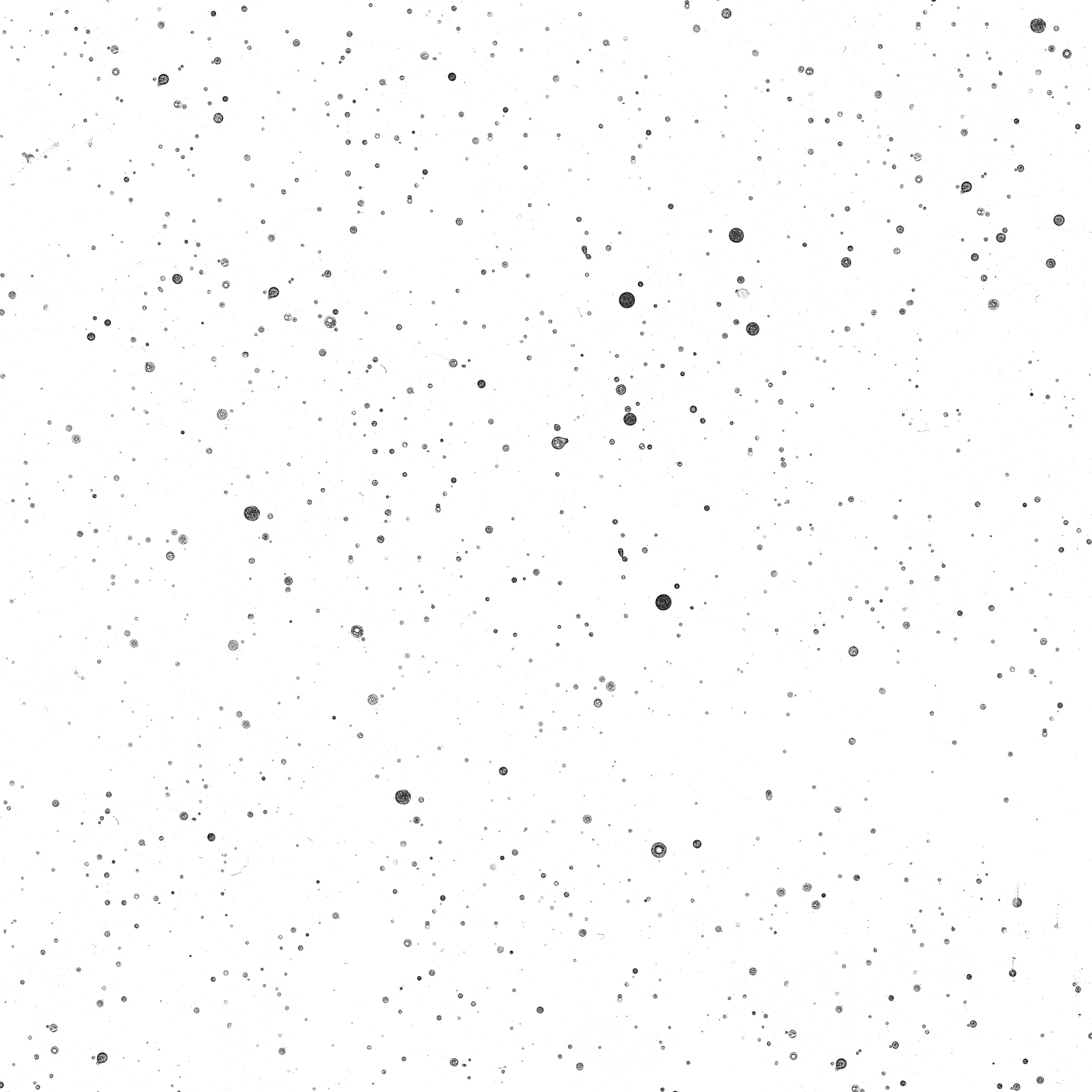 dirt masks 033 inv — Скачать