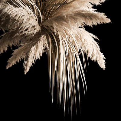 Hanging bouquet of dry reeds and pampas grass for decoration and interior. 266. — Ver 4