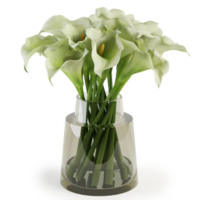 Calla lilies bouquets — Ver 5