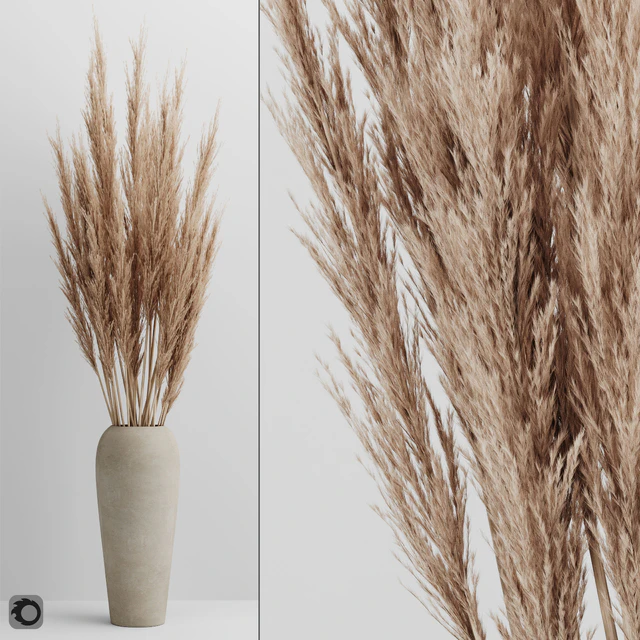 A bunch of Pampas 4 — Descargar