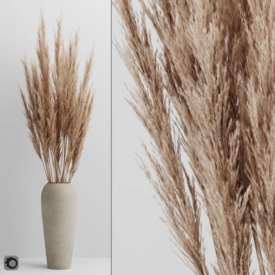 A bunch of Pampas 4 — Ver 1