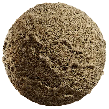 grass dried 019 — Скачать