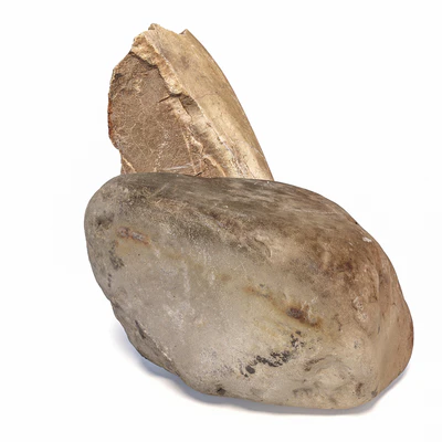 Stones 245 — Ver 4