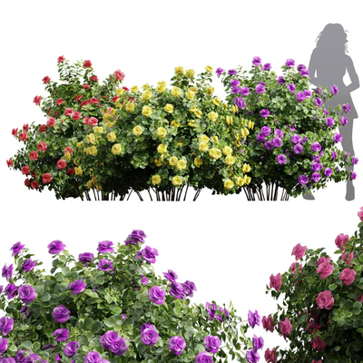 New Plant High detail Climbing Roses Bush — Ver 1
