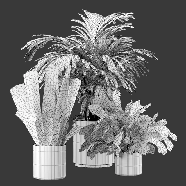 Plant-Set-001 — Descargar