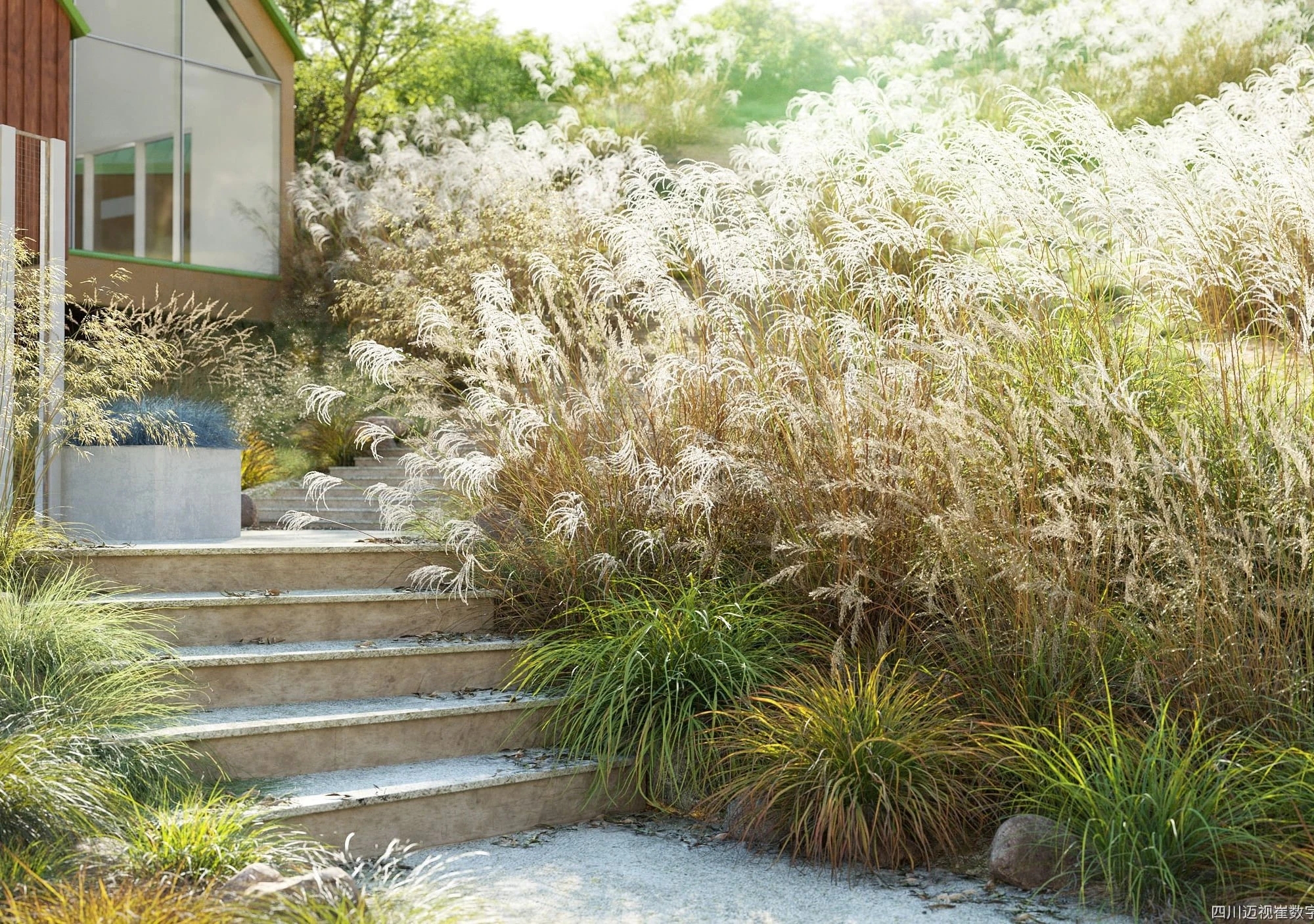 plant models vol 109 — Скачать