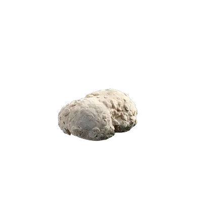 coral stone 001 — Descargar