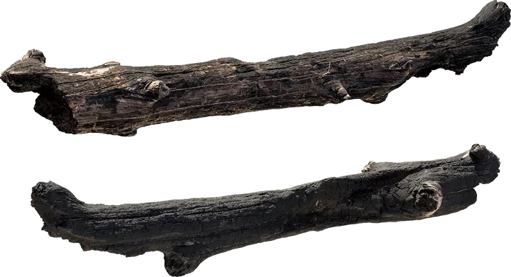 burnt log 001 — Descargar