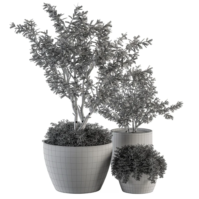 Outdoor Plants Olive - Set 79 — Descargar
