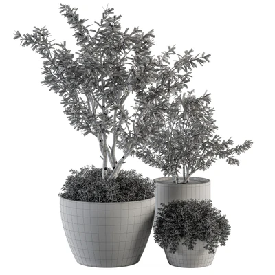 Outdoor Plants Olive - Set 79 — Ver 3