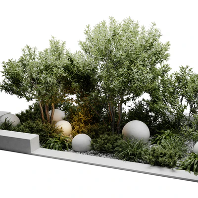 Outdoor Plants — Вид 4