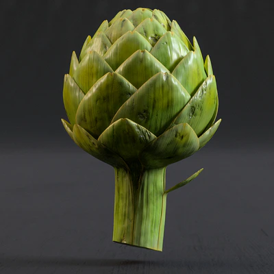 Artichokes — Ver 2