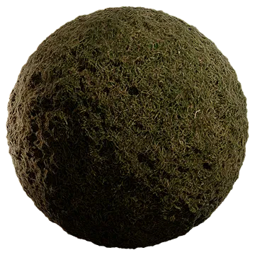 lawn grass 004 — Descargar