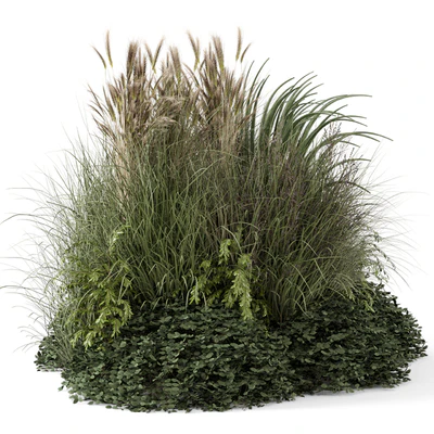 Outdoor Plants Bush -Bush Set 1644 — Вид 1