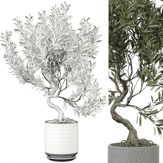 indoor Plant 373 — Descargar