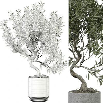 indoor Plant 373 — Ver 2