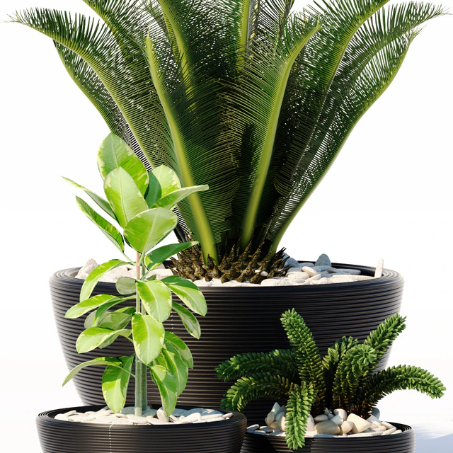 PLANTS 151 — Скачать