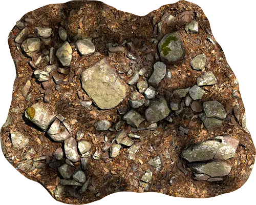 lichened rocky ground 005 — Descargar