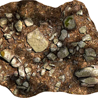lichened rocky ground 005 — Descargar