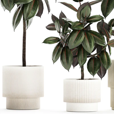Plant collection 1432 — Ver 2