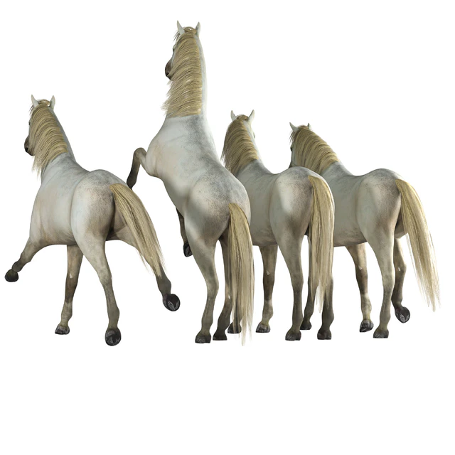 Horse in 04 Poses — Скачать