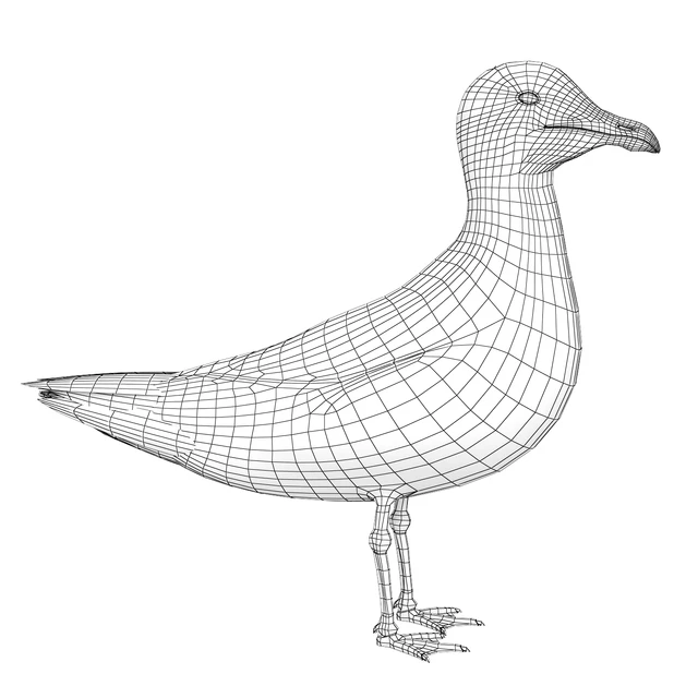 Gull — Descargar