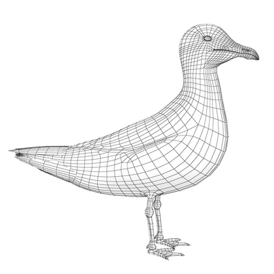 Gull — Ver 2