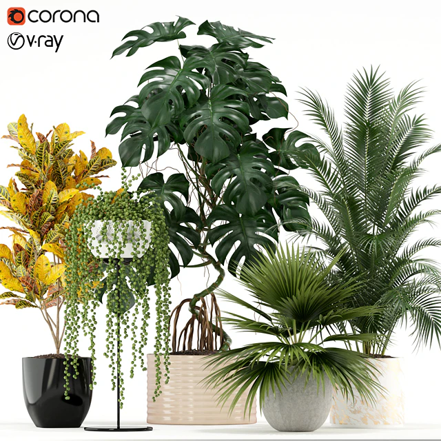 Plants collection 124 — Скачать
