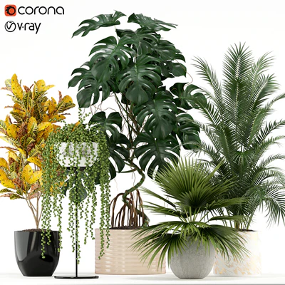 Plants collection 124 — Вид 1