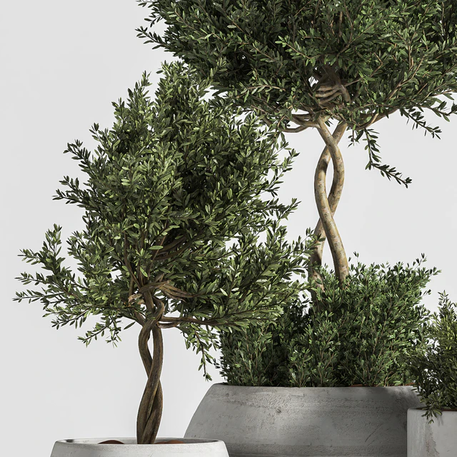 Plant Indoor with Concrete Leaf — Скачать