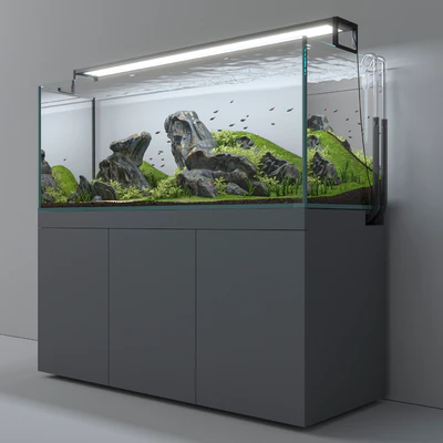 Aquascape aquarium — Вид 2