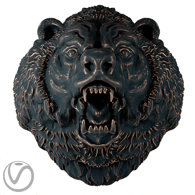 The head of a bear — Descargar