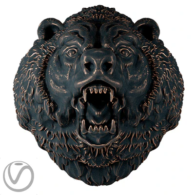 The head of a bear — Ver 1