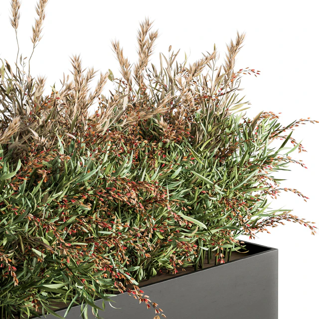 Outdoor Plant Set 166 - Plant Box Bush — Скачать