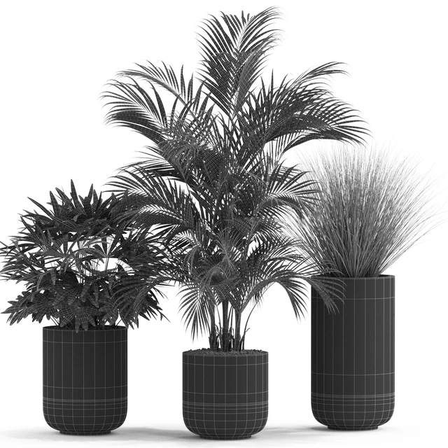 Plants collection 540 — Descargar