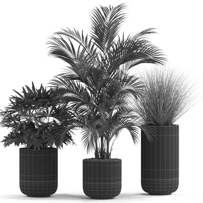 Plants collection 540 — Ver 3