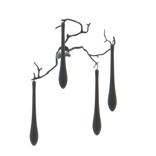 Aqua Wall Sconce — Скачать